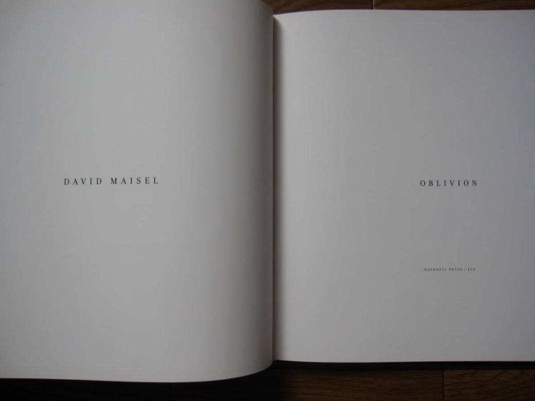 OBLIVION　David Maisel　デイビット・マイゼル