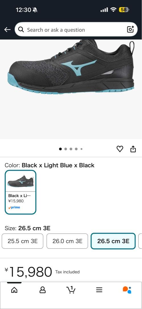 MIZUNO　ミズノ　安全靴　オールマイティ　ES31L ❗️24.5 CM ❗️