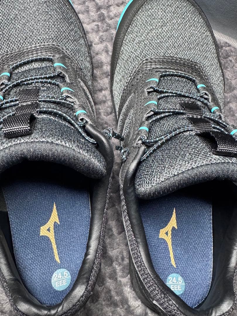 MIZUNO　ミズノ　安全靴　オールマイティ　ES31L ❗️24.5 CM ❗️