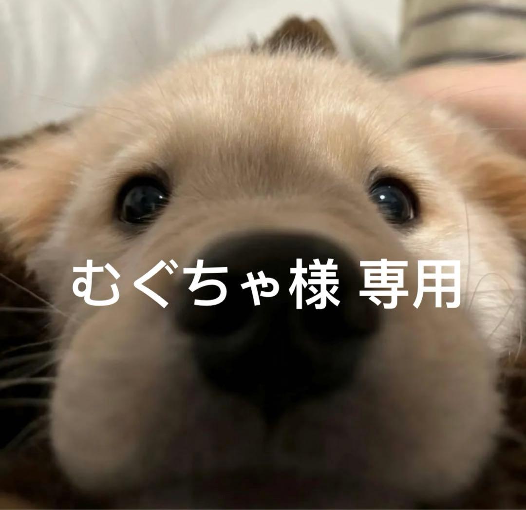 むぐちゃ 翌日出荷