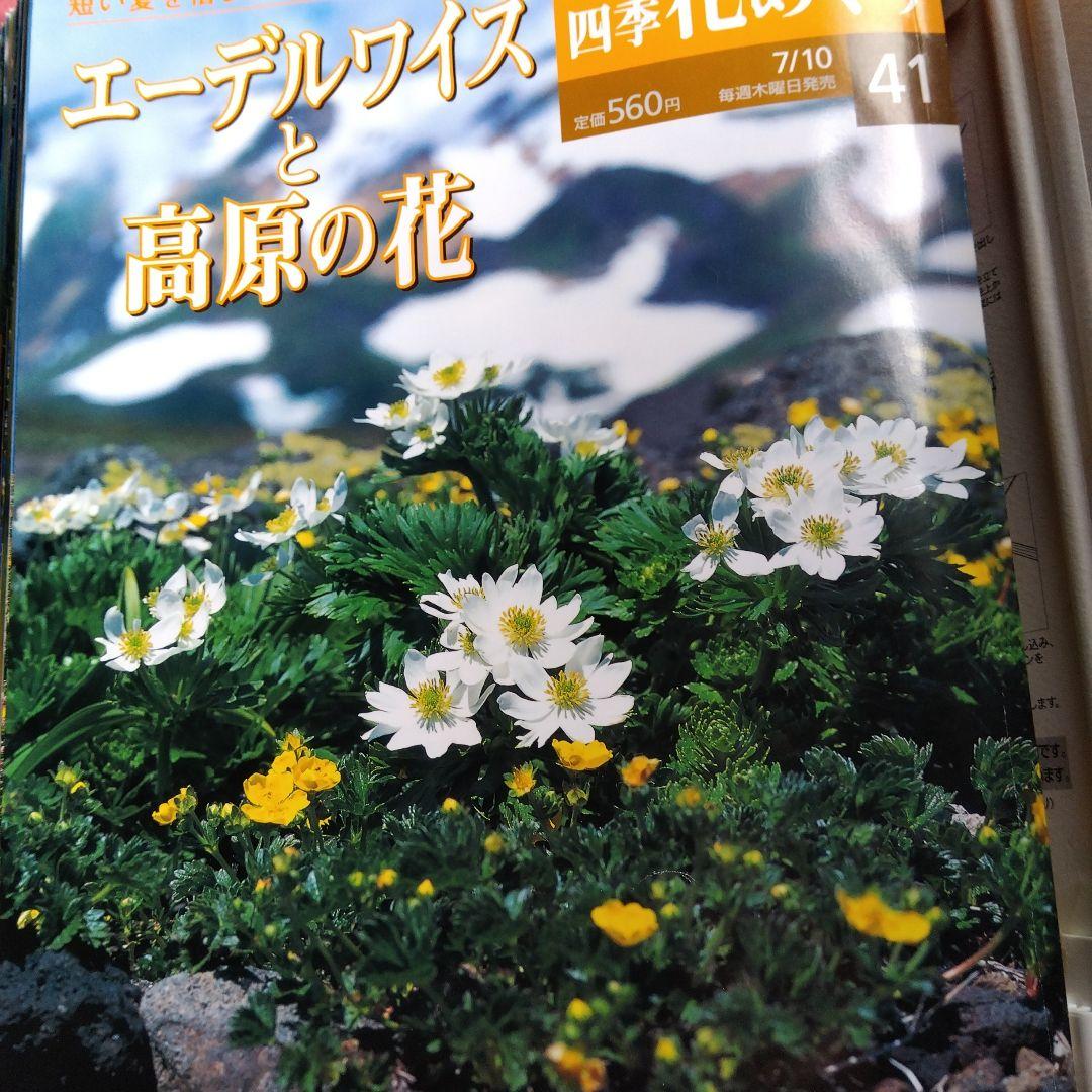 週間四季花めぐり❤️全巻５０冊❤️期間限定3月１８日まで。