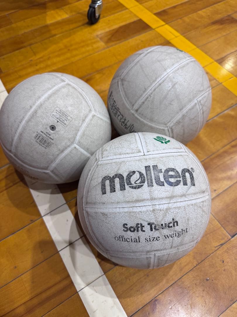 molten Soft Touch ママさんバレーボール 公式サイズ