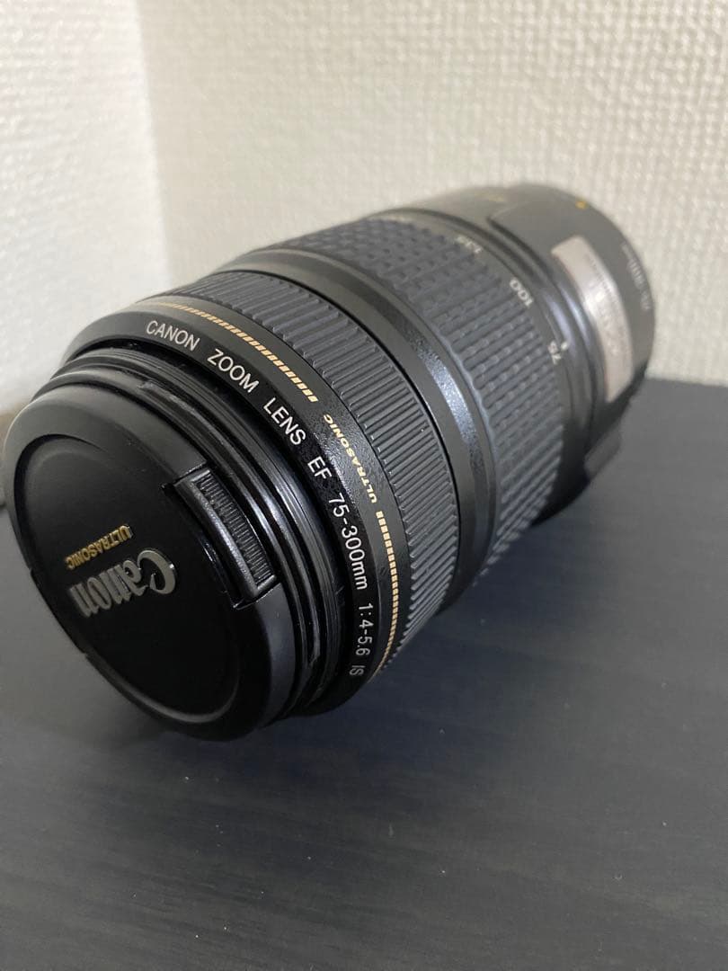 レンズ(ズーム) Canon EF 75-300mm F4-5.6 IS USM