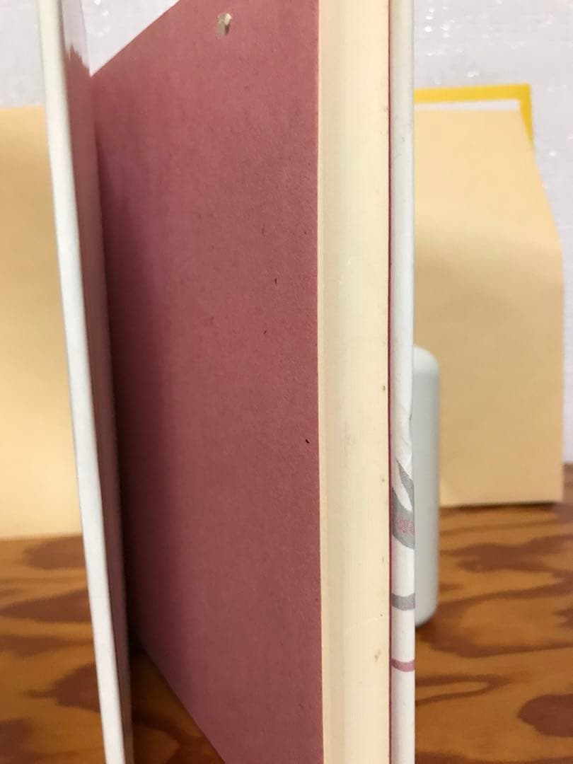 蛇神伝承論序説　清姫の原像を求めて　阿部真司　初版第一刷　使用感無し美品　三輪山