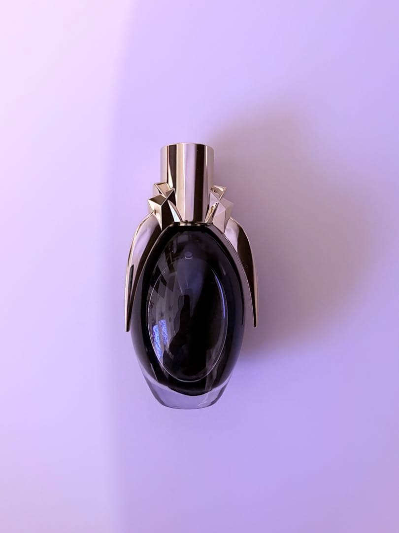 【廃盤・希少】LADY GAGA FAME オードパルファム50ml ほぼ未使用
