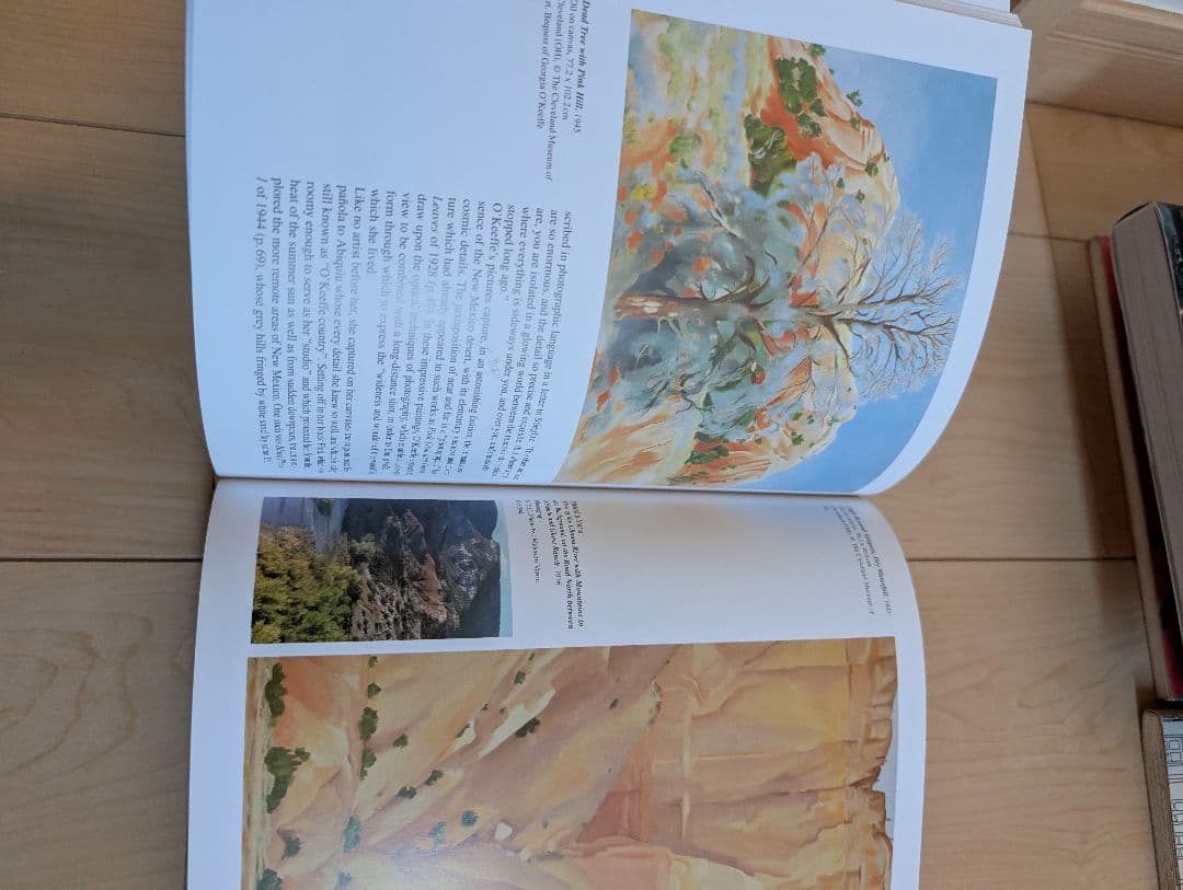 O'Keeffe アートブック Britta Benke