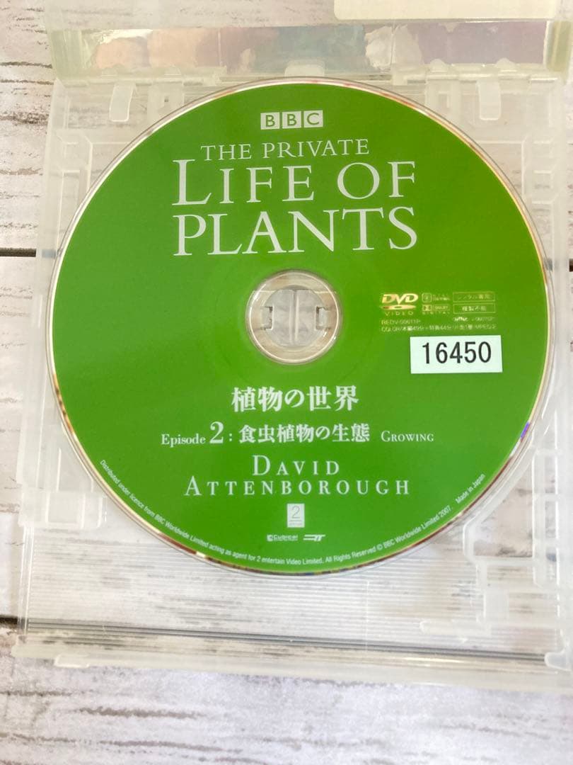 BBC 植物の世界 DVD 5枚セット　まとめ売り