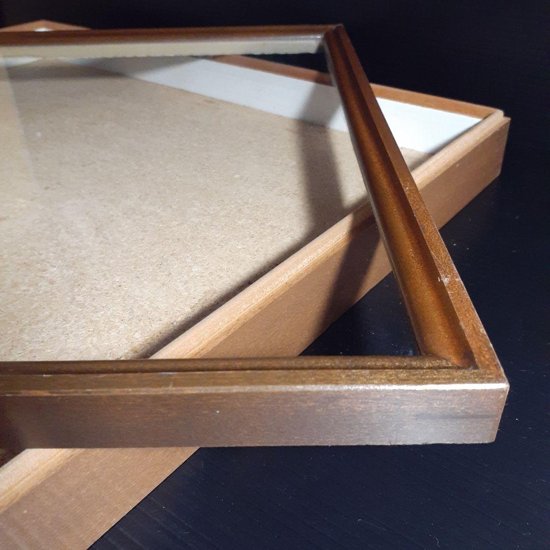 大型ドイツ標本箱(志賀昆虫普及社)、２箱セット