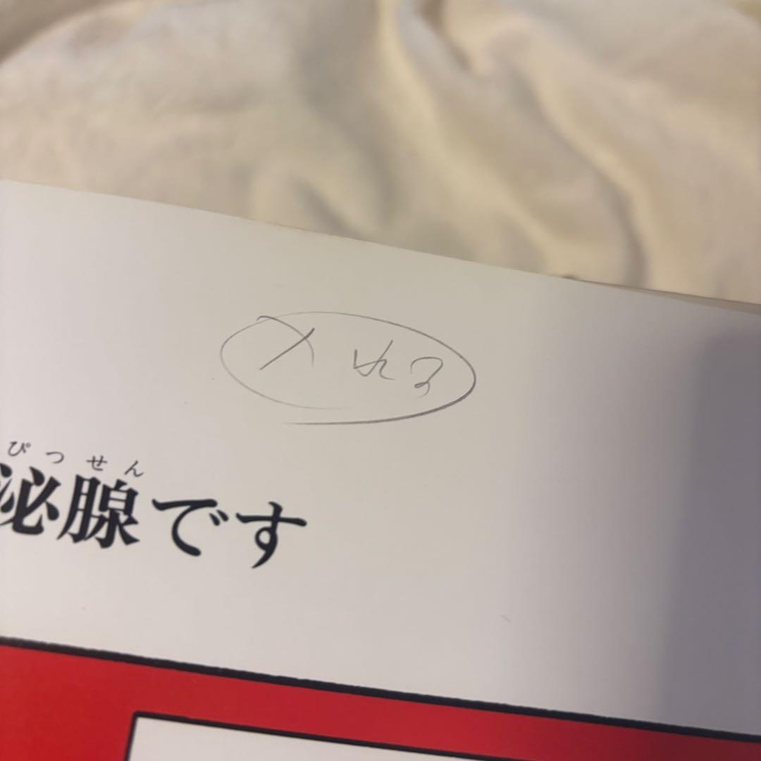 すばらしい人間のからだ 全12巻