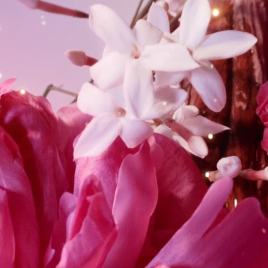 ケン・パテラ 様