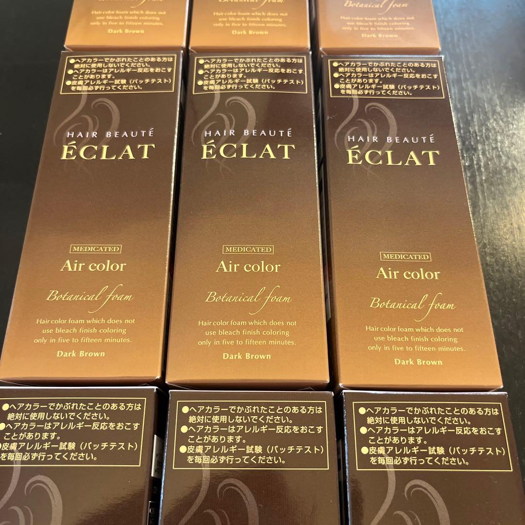 ヘアボーテ　エクラ　ボタニカルエアカラーフォーム　　ダークブラウン