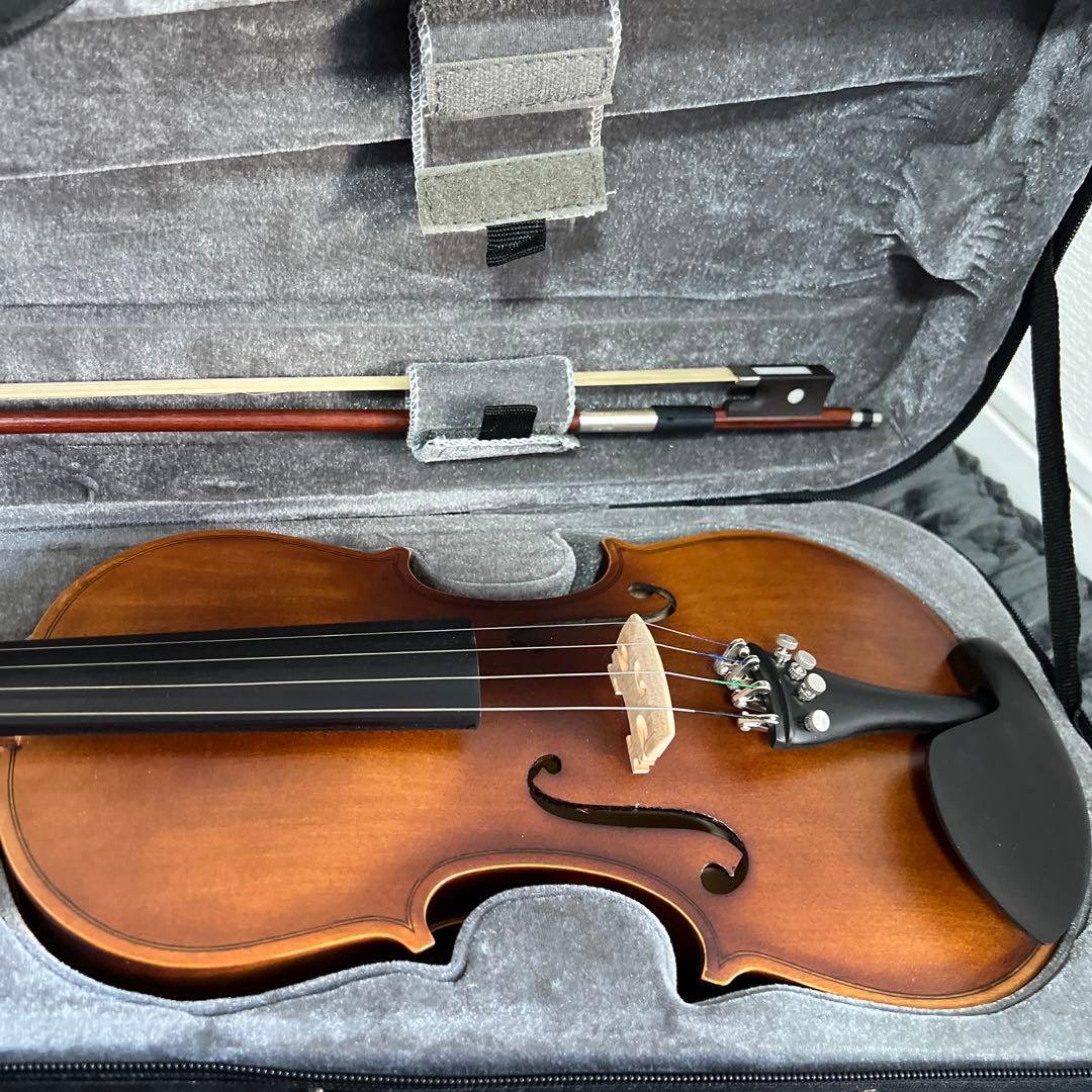 【美品｜ケース付】HALLSTATT ハルシュタット V-12