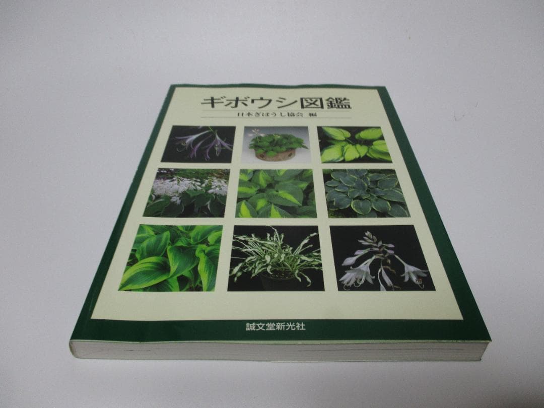 ギボウシ図鑑