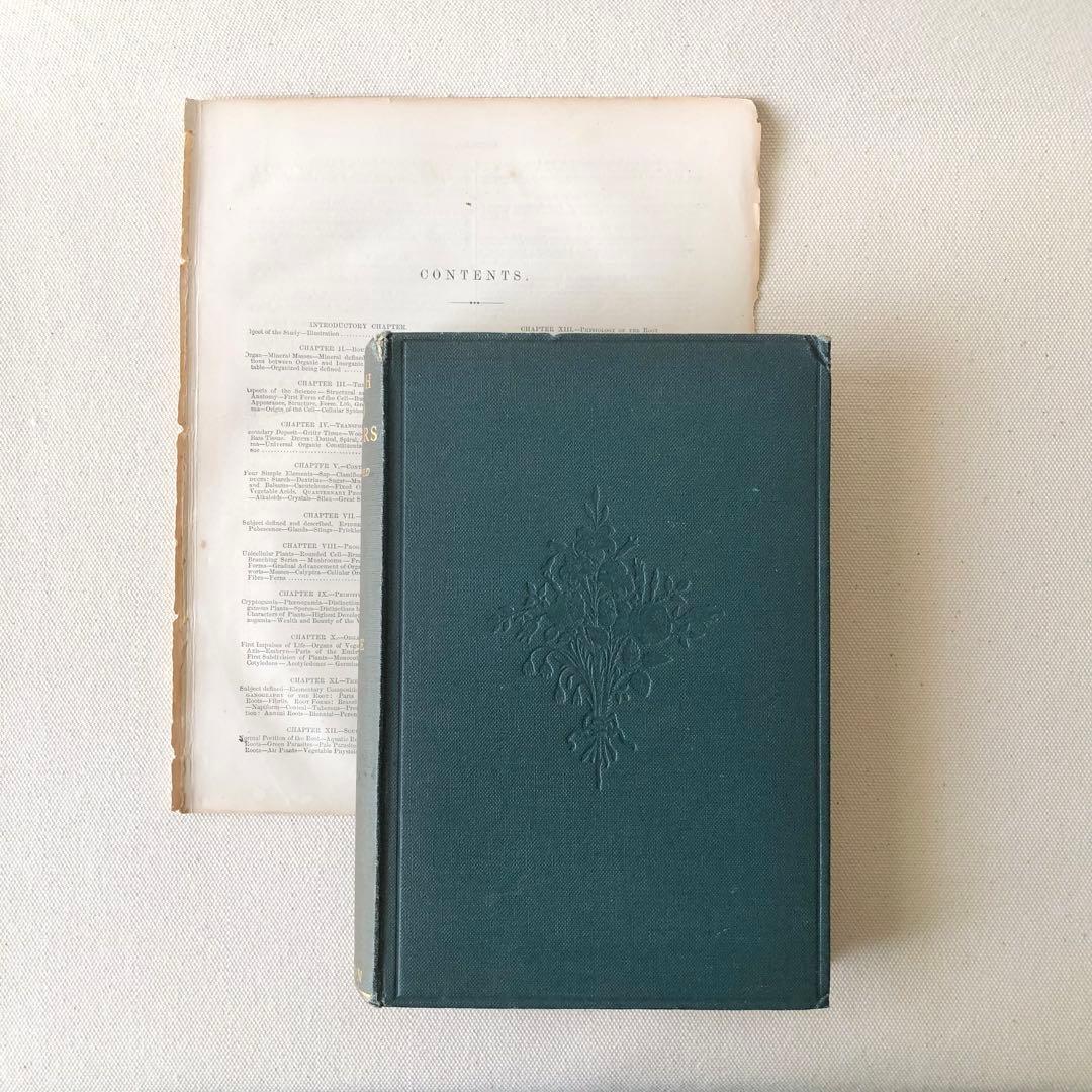 1867年！超希少　手彩色　英国ヴィクトリア時代のアンティーク植物図鑑