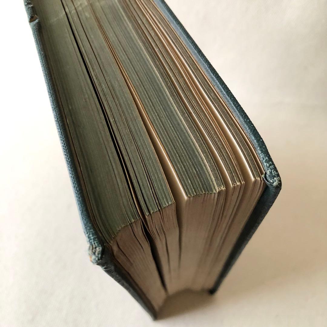 1867年！超希少　手彩色　英国ヴィクトリア時代のアンティーク植物図鑑