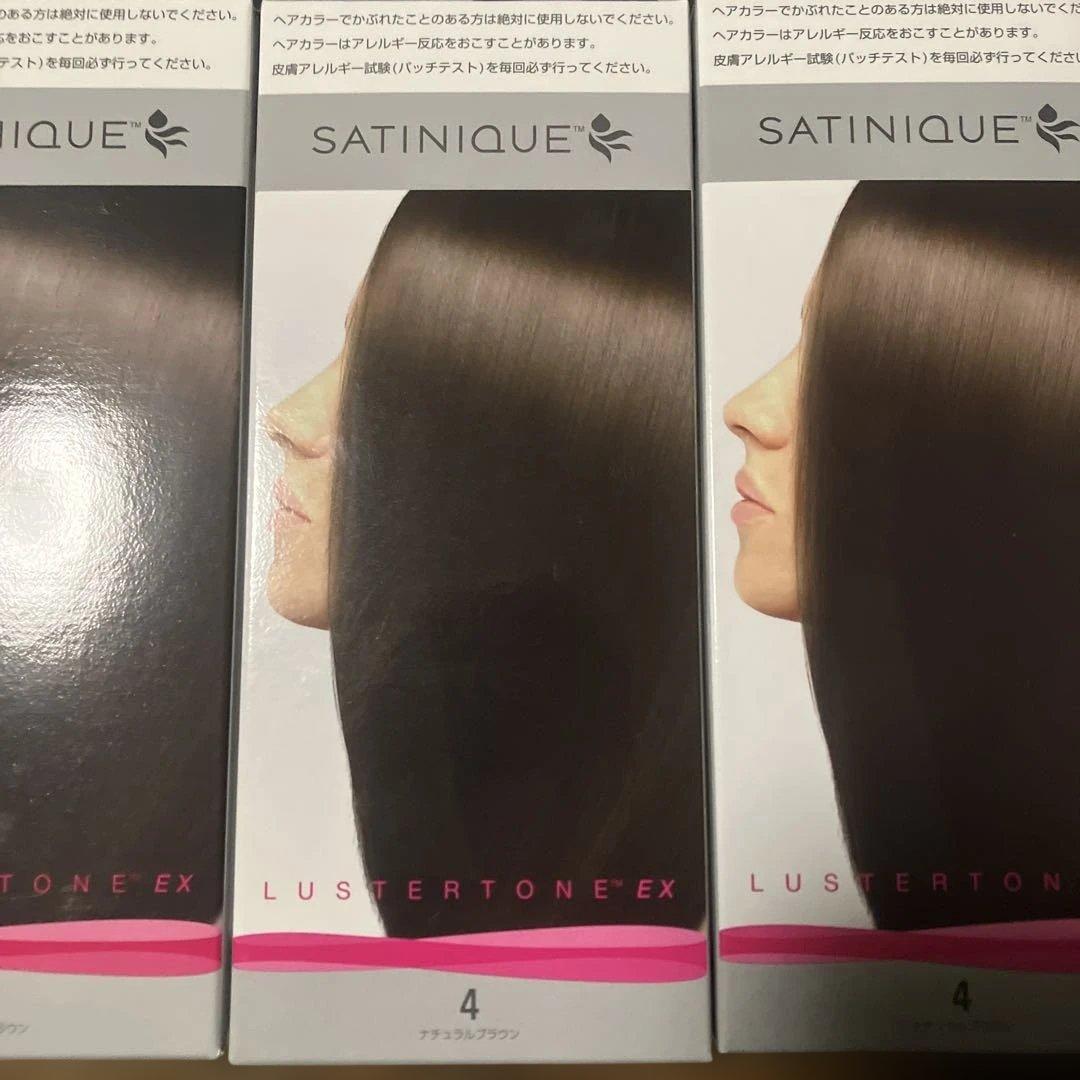 アムウェイ サテニーク ラスタートーン EX 4 ナチュラルブラウン　13個