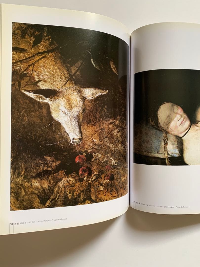 Andrew Wyethワイエス 現代美術 第3巻 講談社