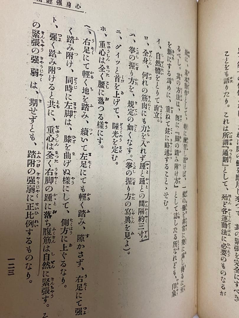 心身強健術　川合春充　肥田春充　天覧　椅子運動法　自己療養　東京　武侠世界社