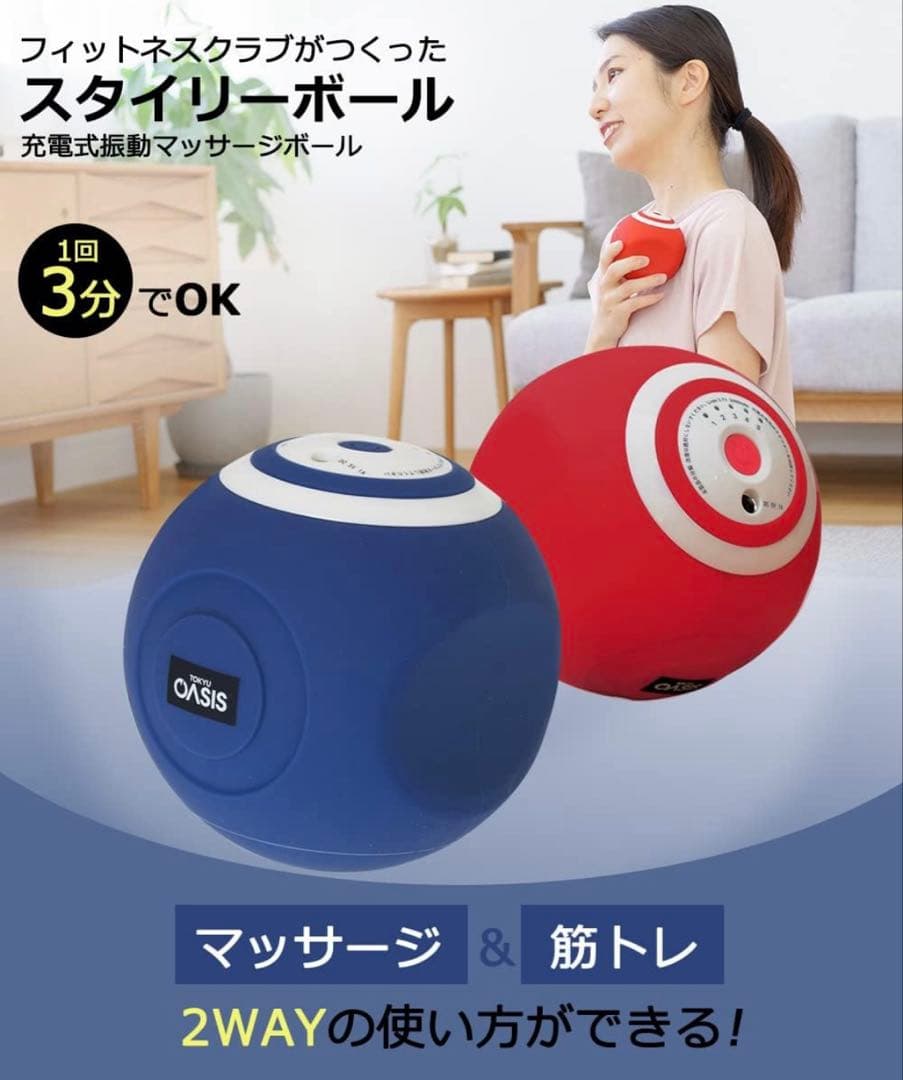 【新品未使用】スタイリーボール/東急スポーツオアシス/ストレッチサポートカバー付