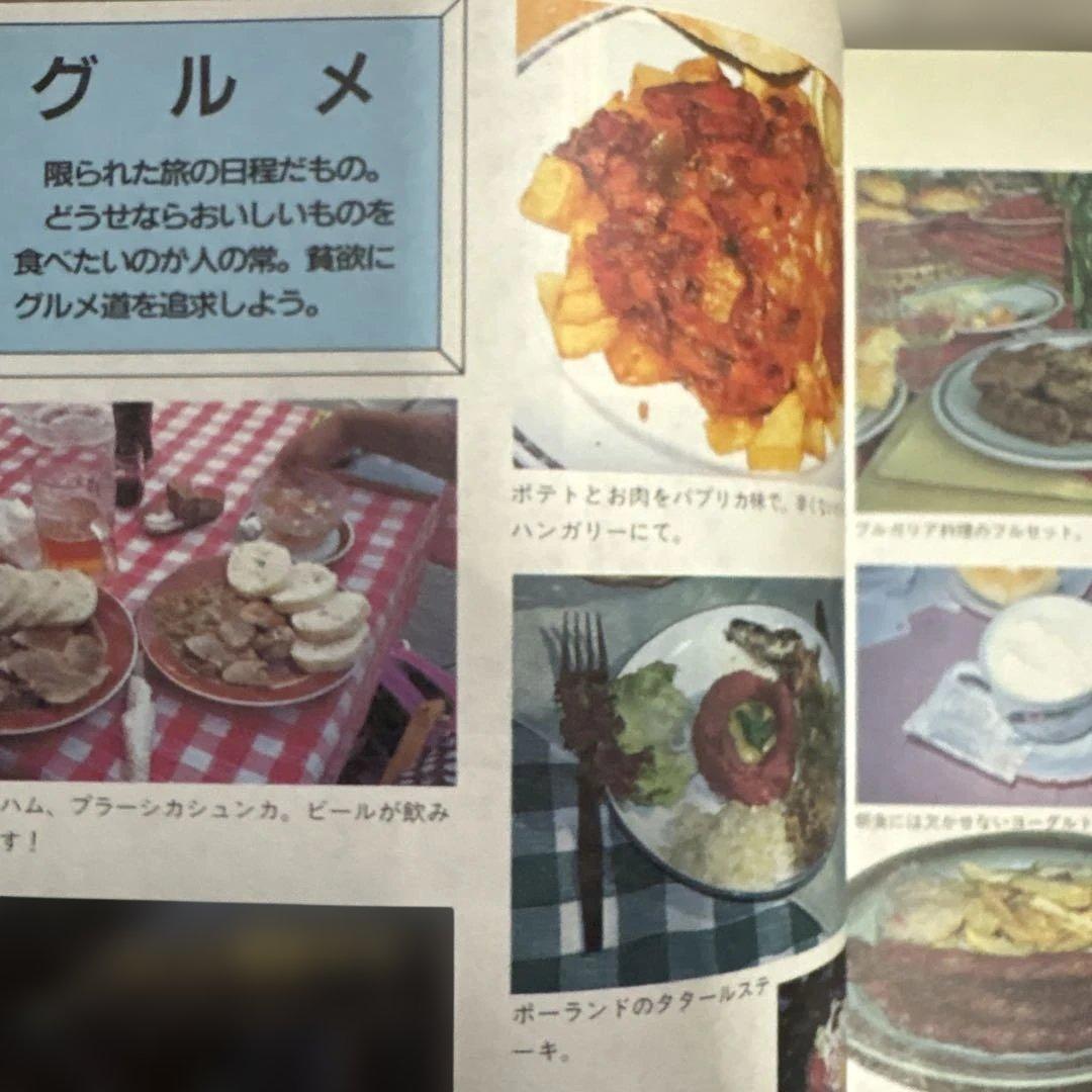 超レア　地球の歩き方 中央ヨーロッパ '95~'96版