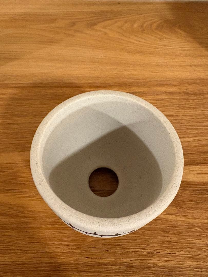 VALIEM 植木鉢　青坊主　xsサイズ