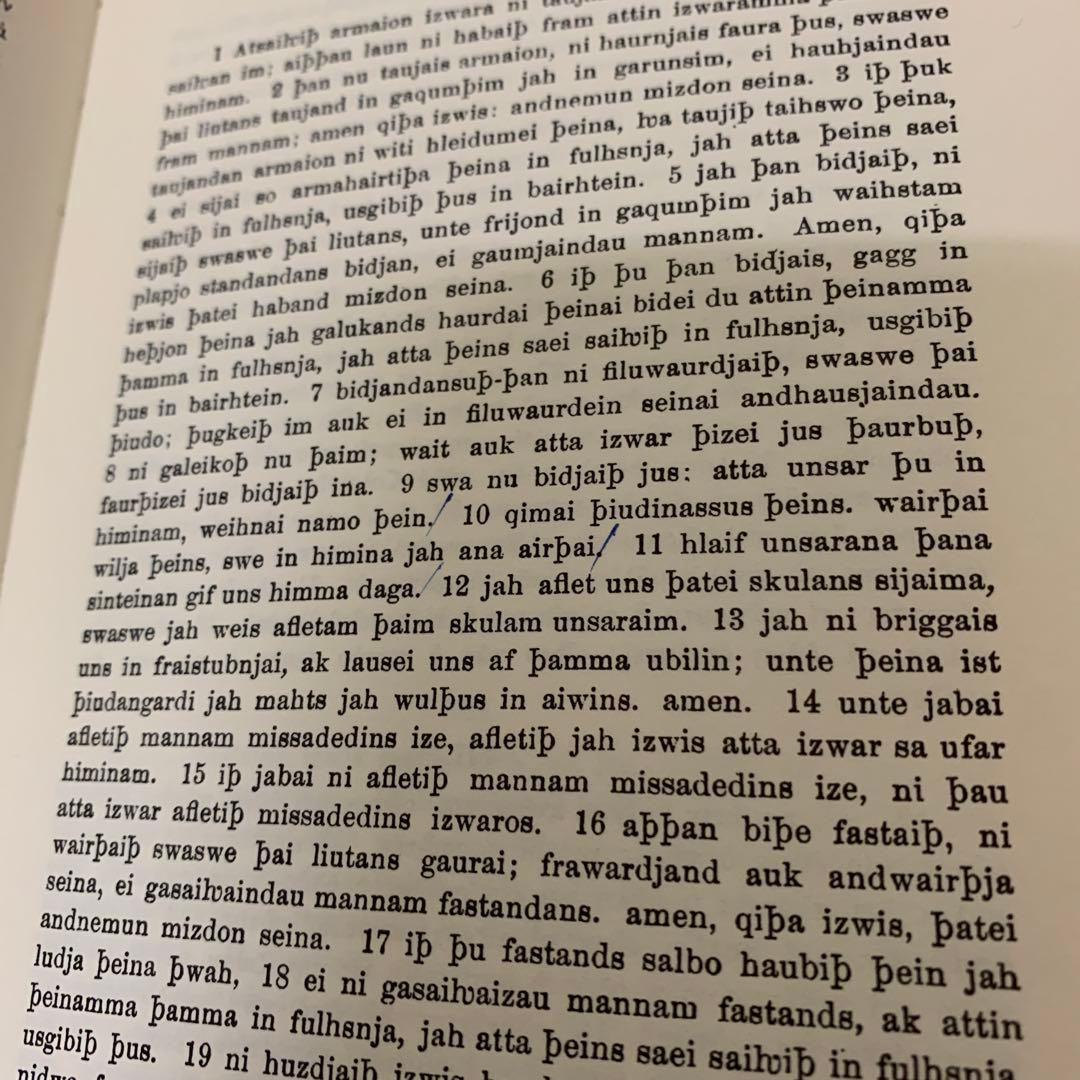 『Die Gotische Bibel (ゴート語聖書)』第1巻　洋書