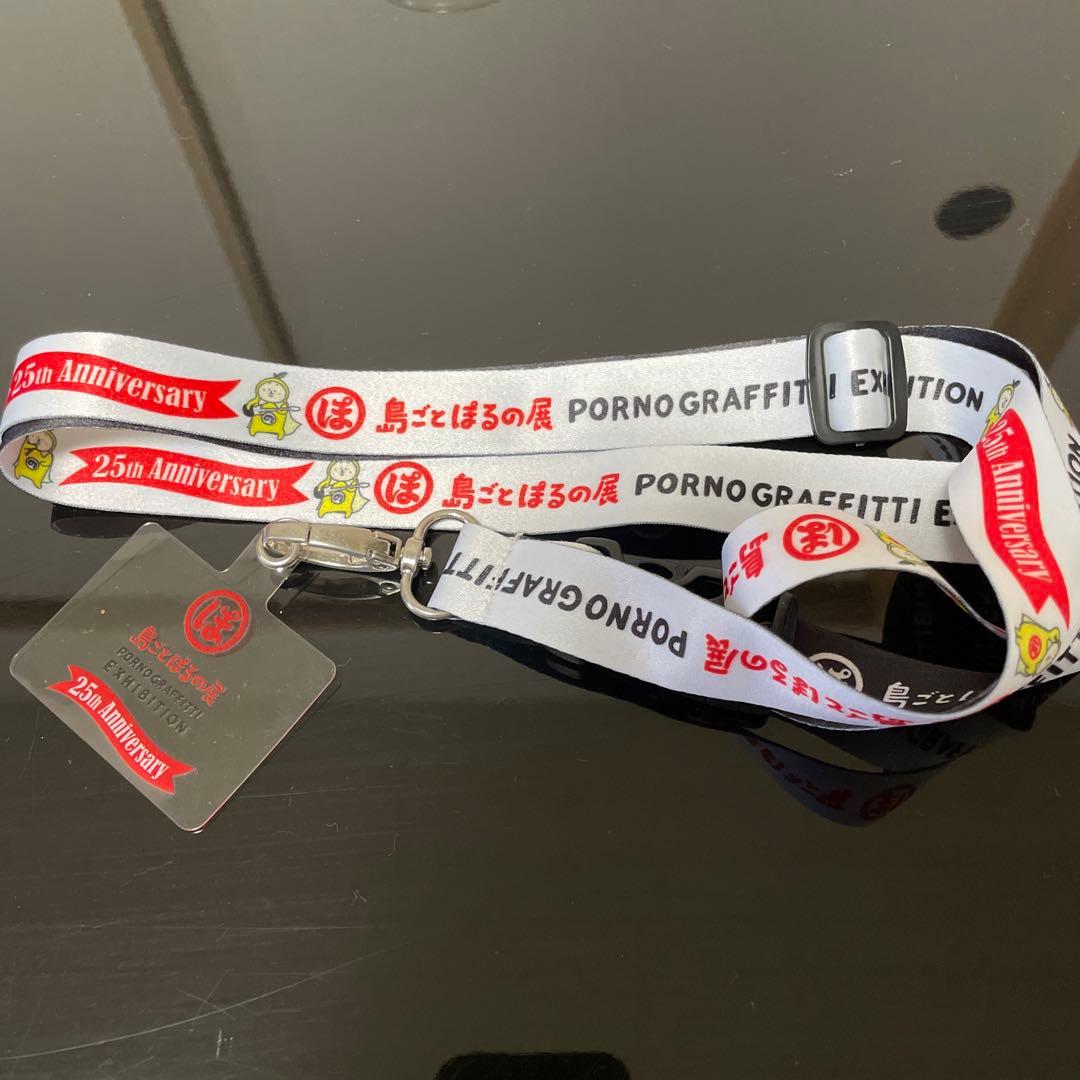 ポルノグラフィティ/因島・横浜ロマンスポルノ'24～解放区～〈初回生産限定盤・…