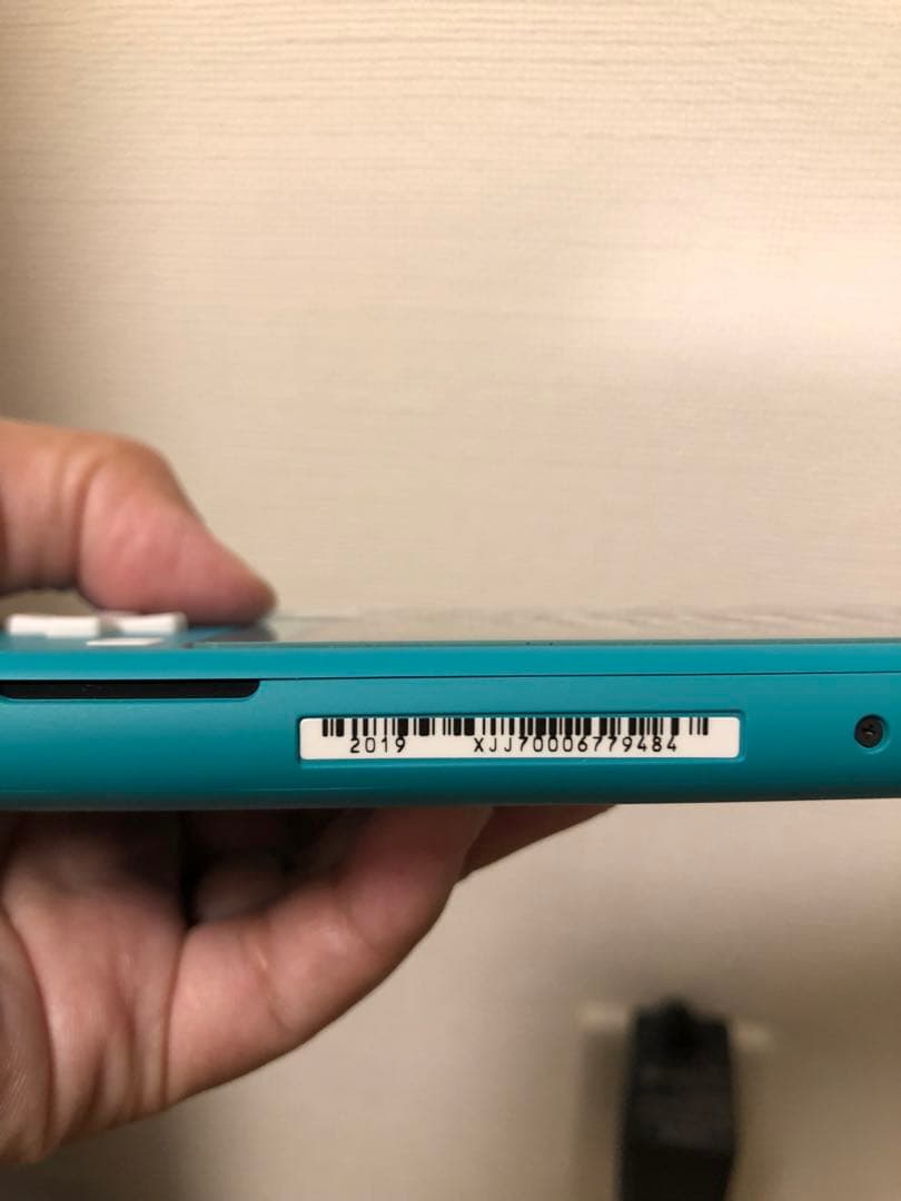 Nintendo Switch SayaNintendo Switch lite