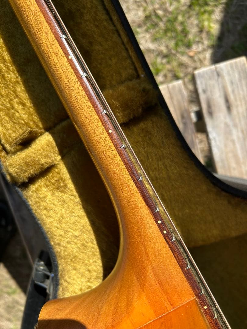 Cole Clark (オール単板)