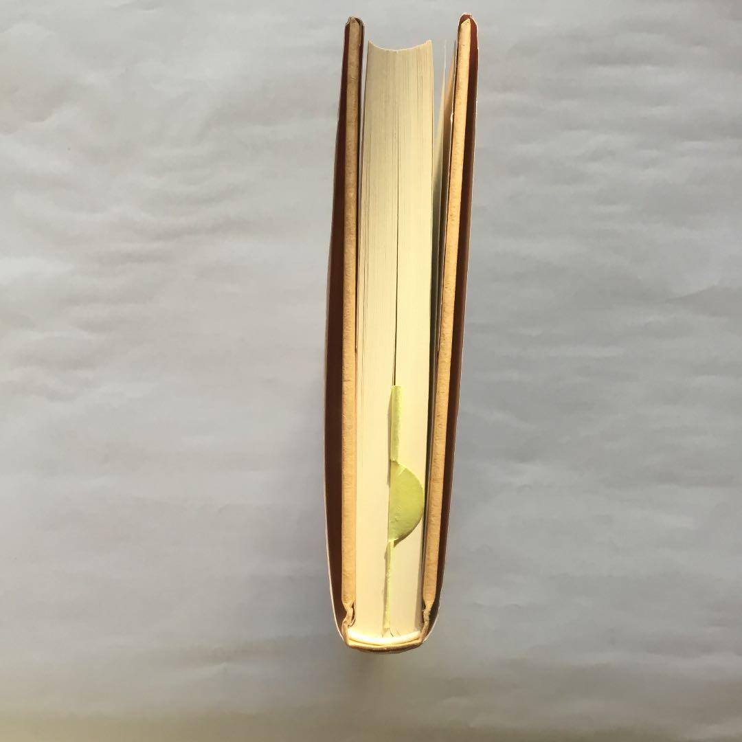 三石　巌全業績ー17 老化への挑戦　　住所名前電話番号の修正痕あります