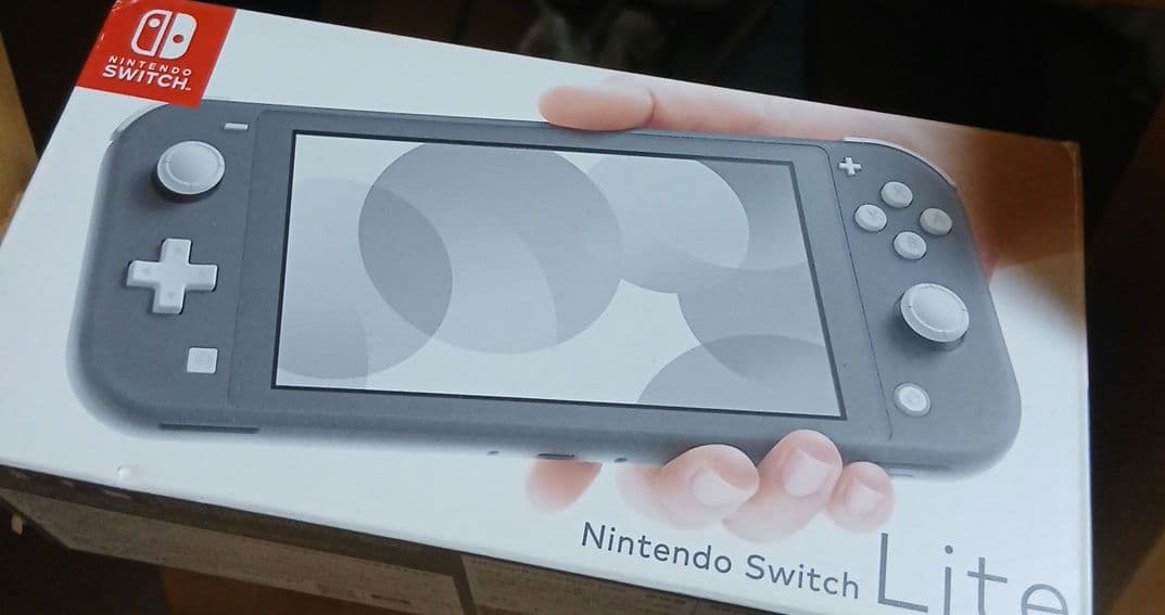 概要欄読んでください。Nintendo Switch Lite グレー　箱あり
