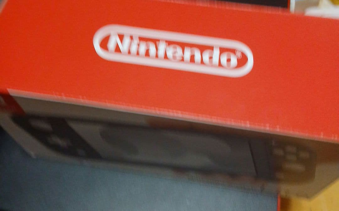 概要欄読んでください。Nintendo Switch Lite グレー　箱あり