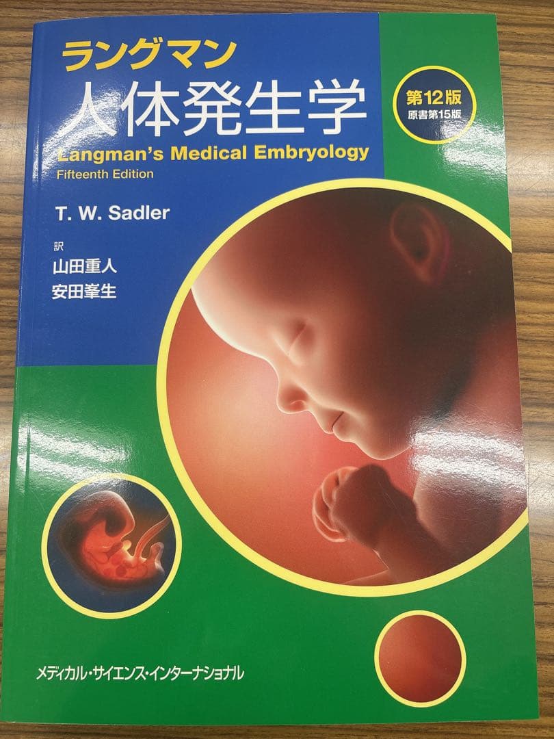 ラングマン人体発生学