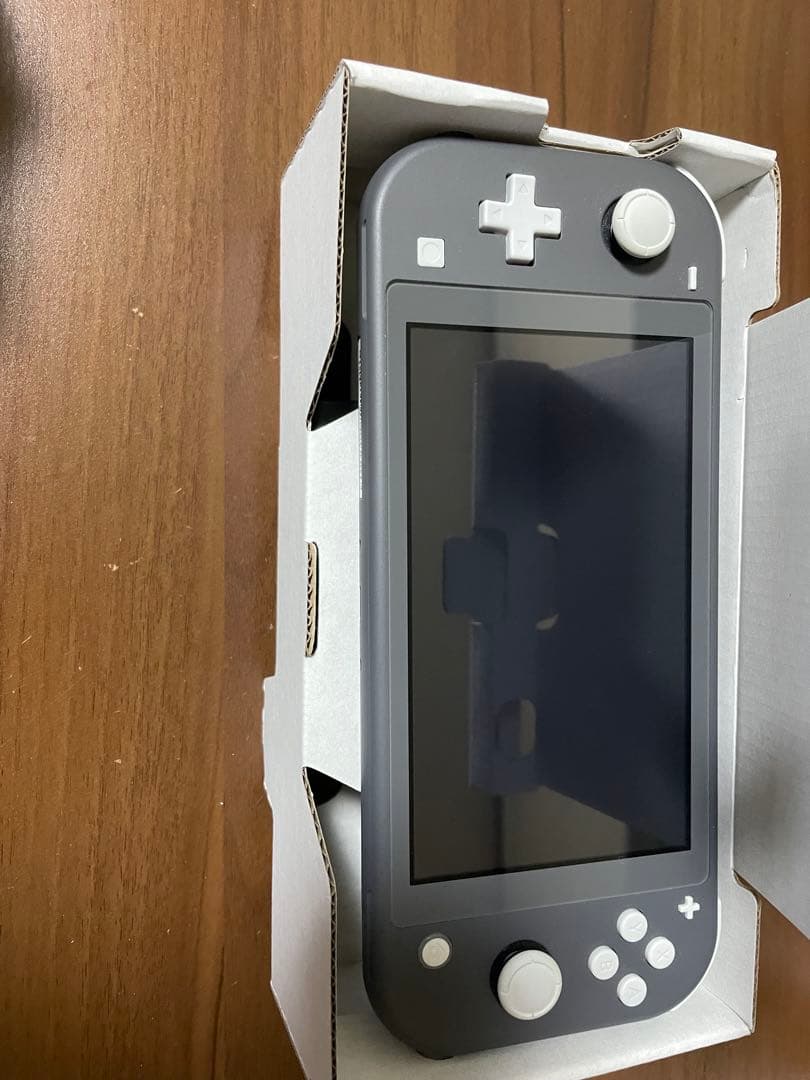 Nintendo Switch Lite グレー 本体　充電器あり
