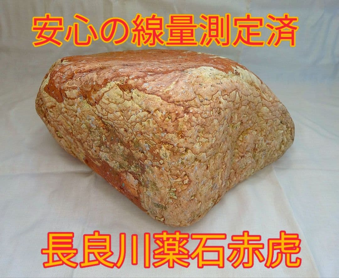 家宝級!!長良川薬石赤虎(1)