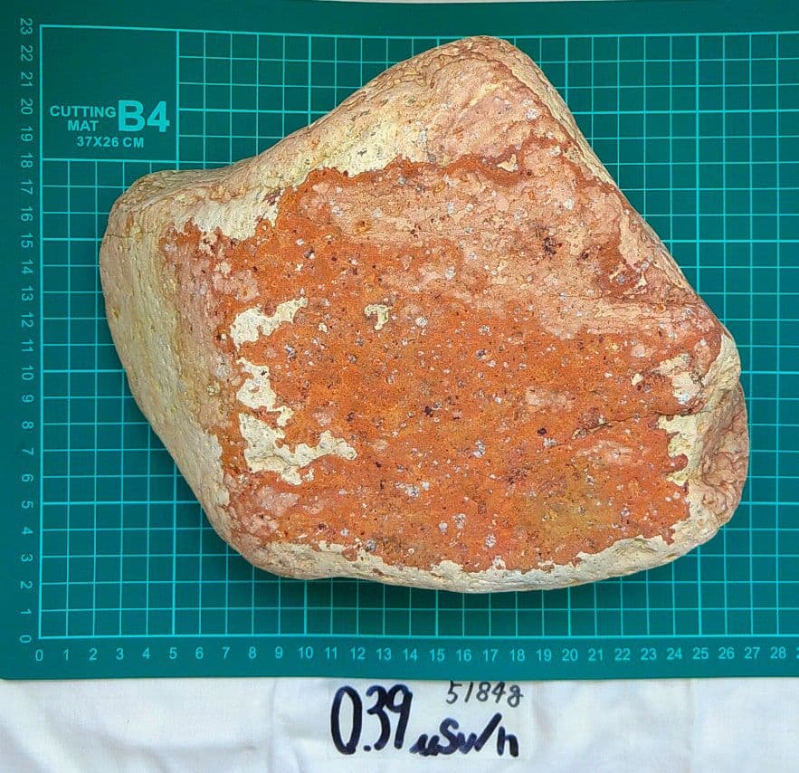 家宝級!!長良川薬石赤虎(1)