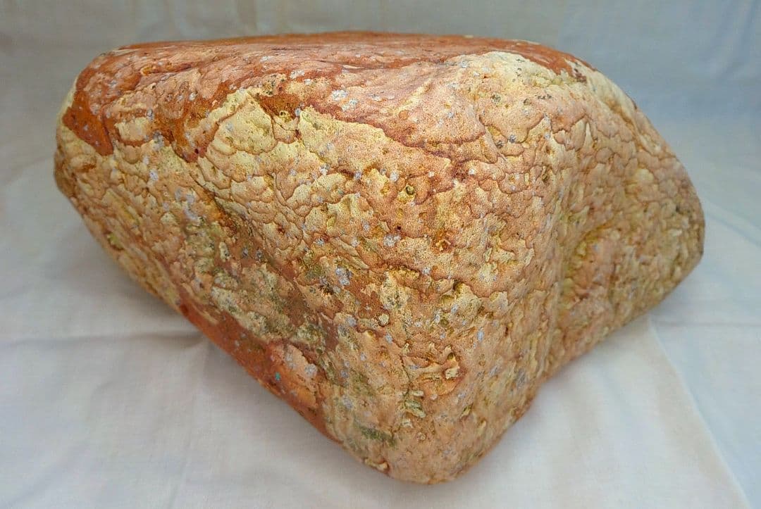 家宝級!!長良川薬石赤虎(1)