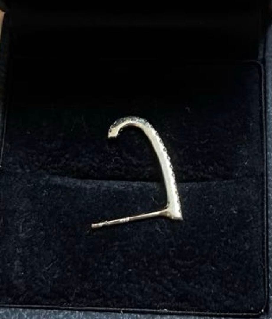 Hirotaka Gossamer ダイヤモンド インナーフック ピアスMサイズ