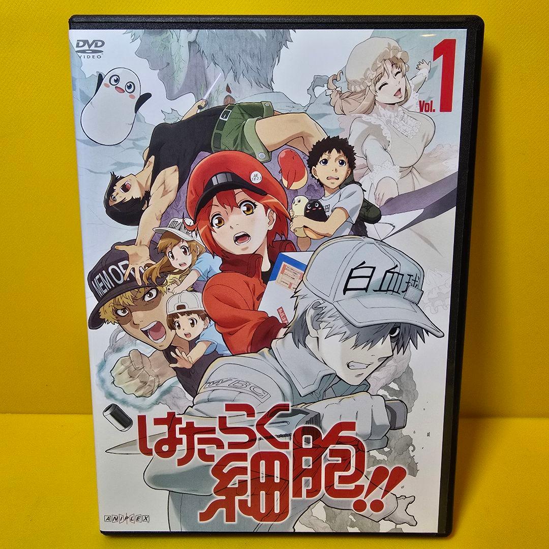 新品ケース交換済み　はたらく細胞 !! 　2期　DVD全4巻