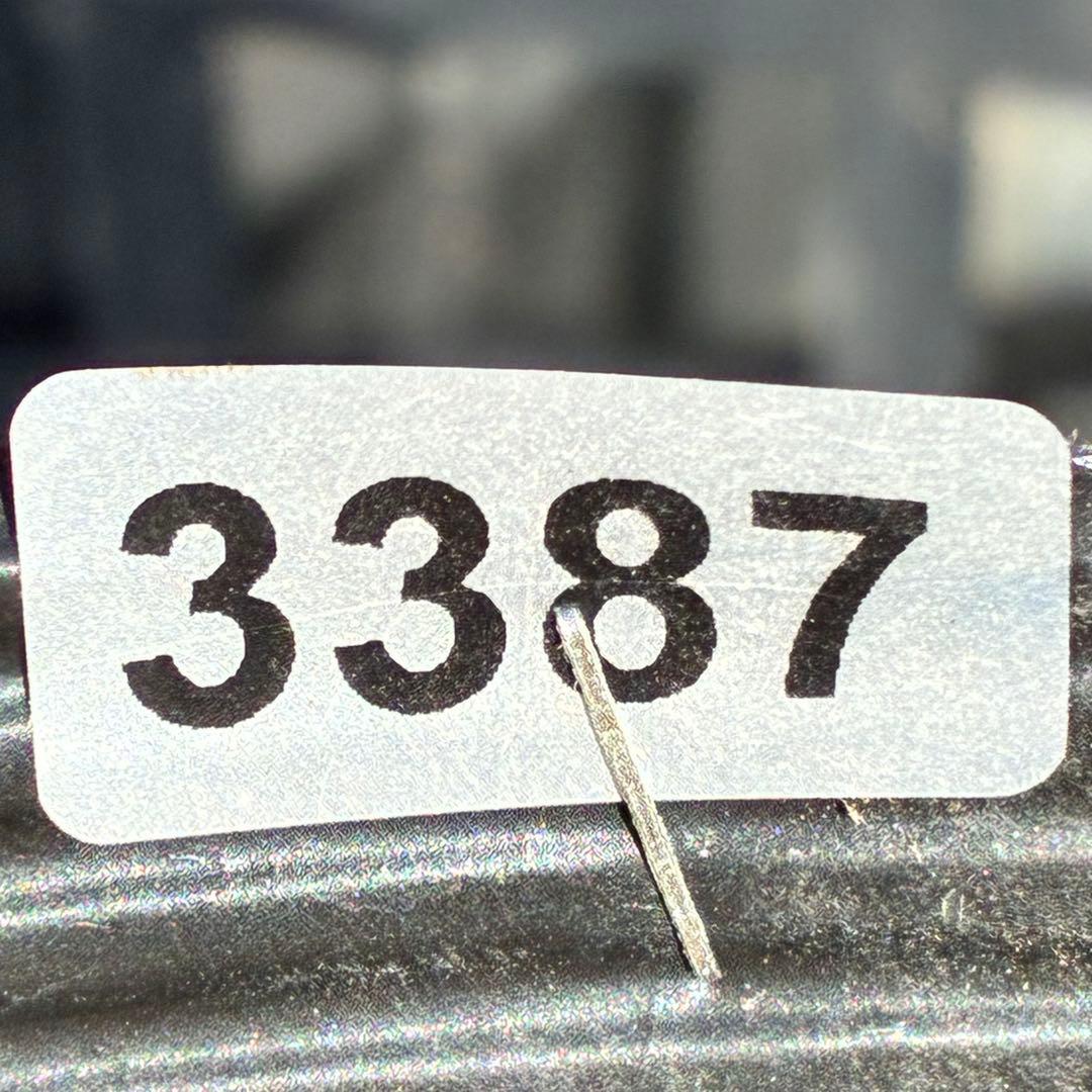 s*い様 ☘️蕾付き☘️沢山新芽3387⭐️BELCHERI⭐️PINK ICE