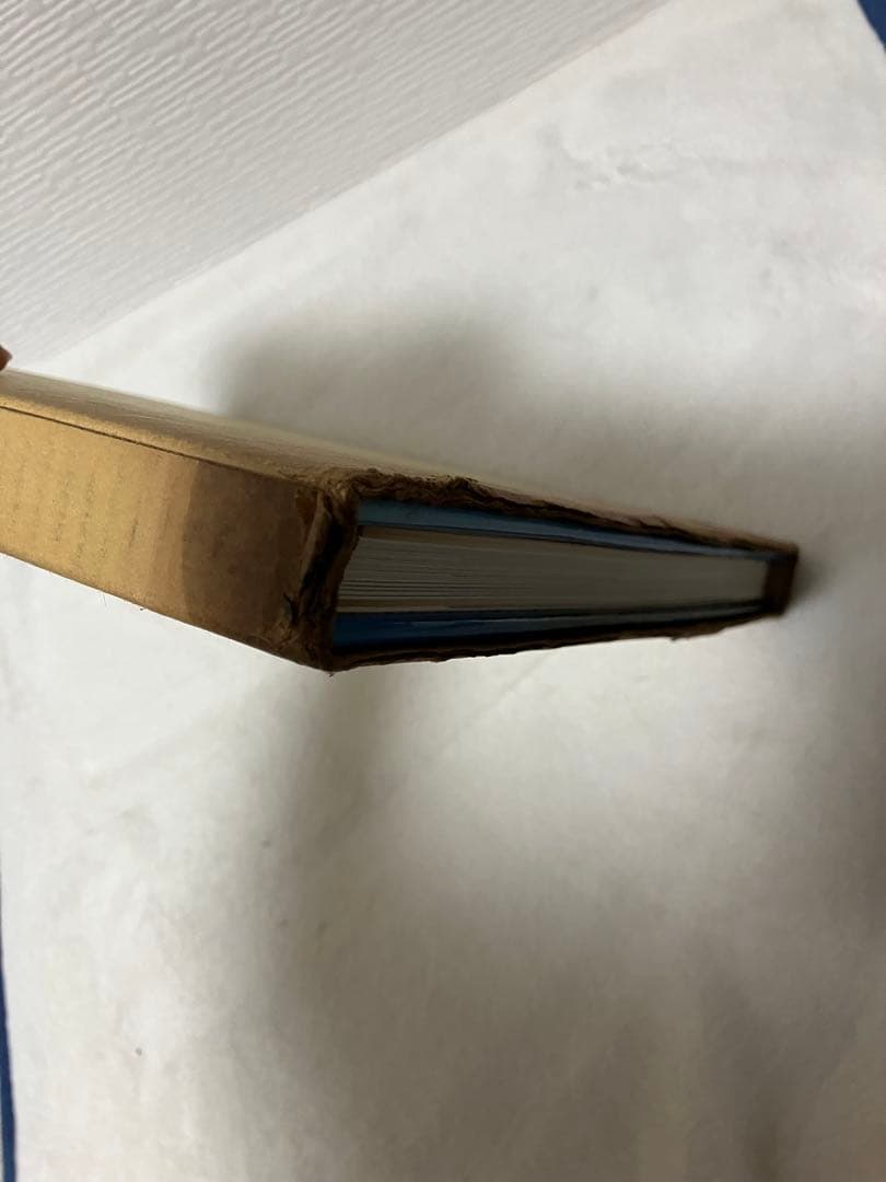 写真集 中国万華 久保田博ニ序・陳舜臣 TBSブリタニカ