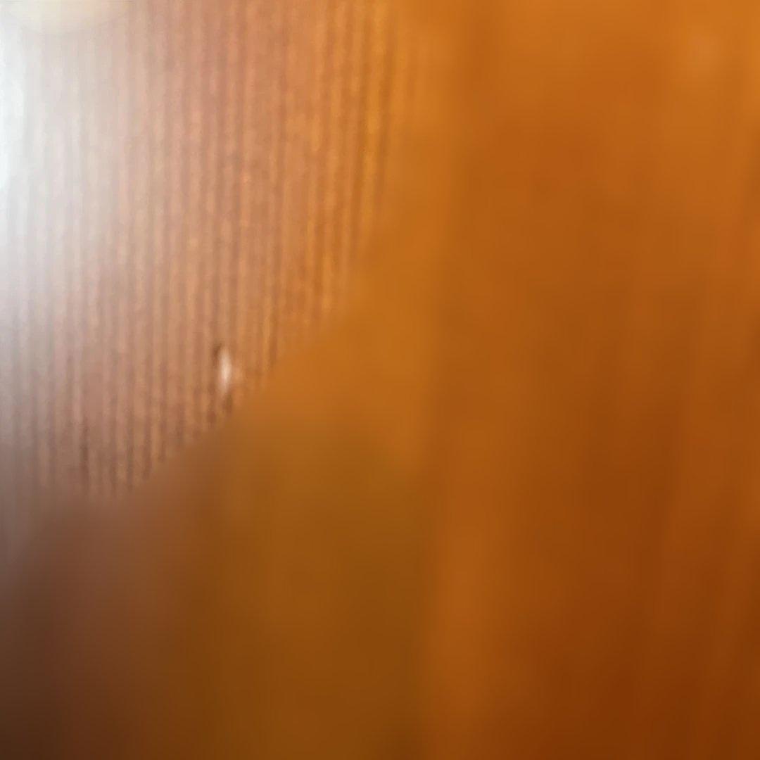 Takamine NPT-012BS アコースティックギター