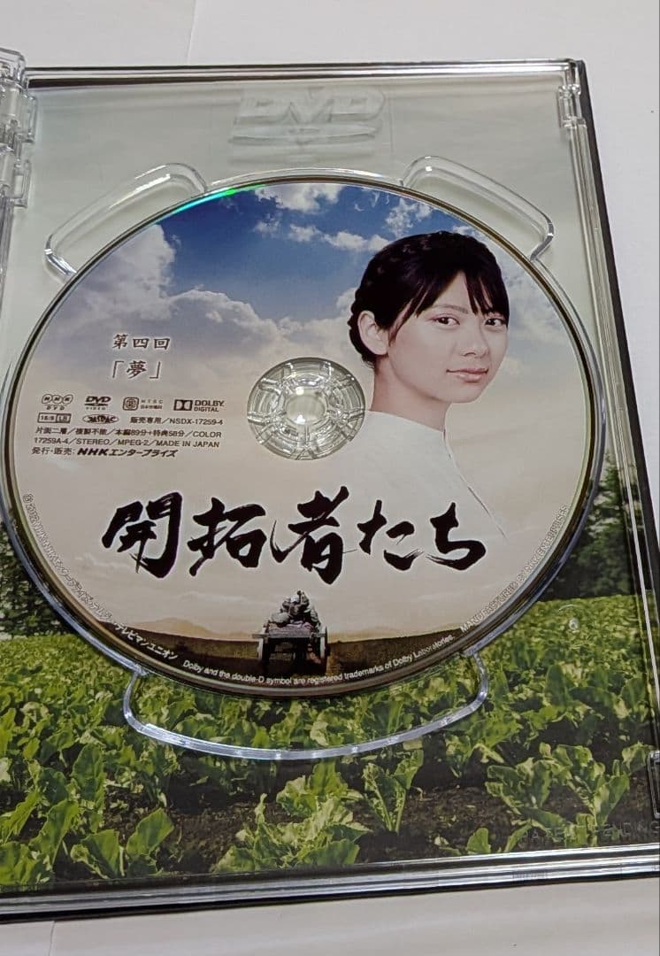 開拓者たち DVD BOX レア 満島ひかり 石田卓也 綾野剛