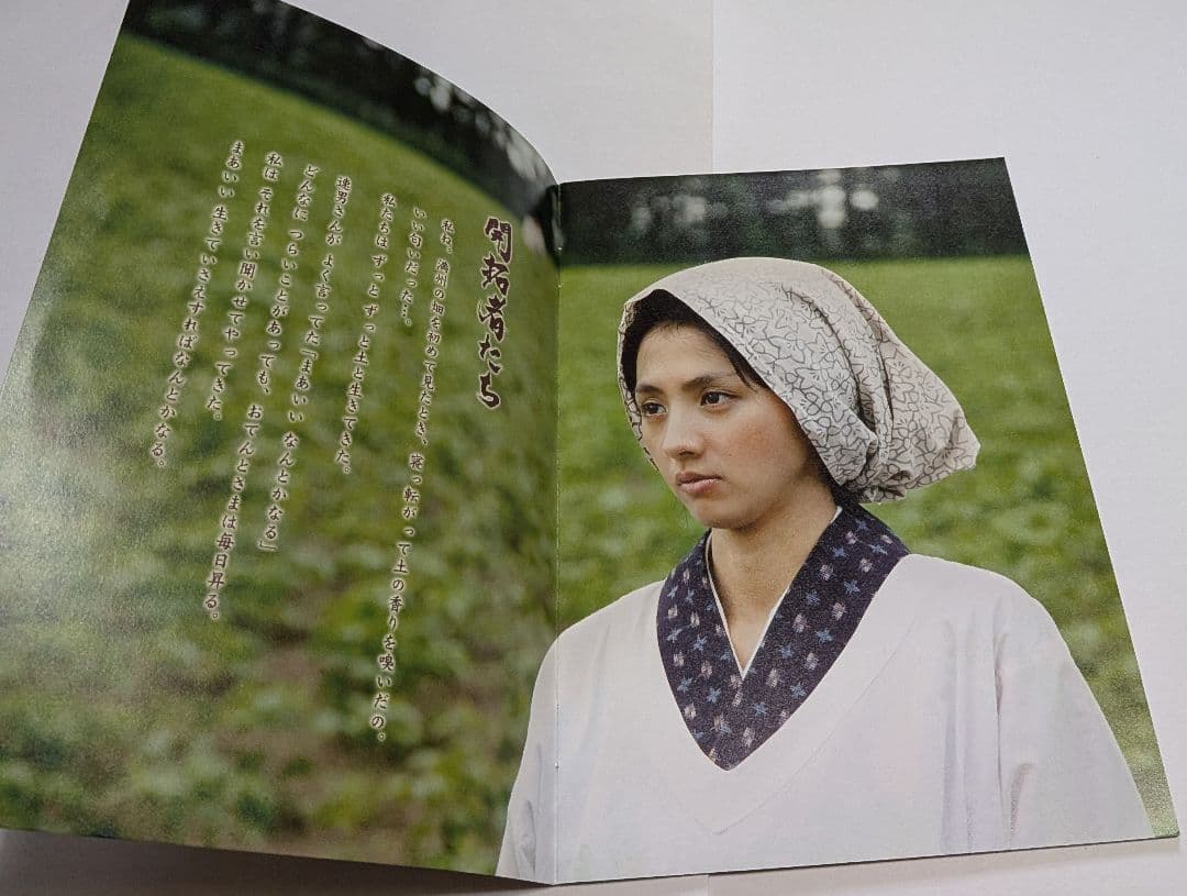 開拓者たち DVD BOX レア 満島ひかり 石田卓也 綾野剛