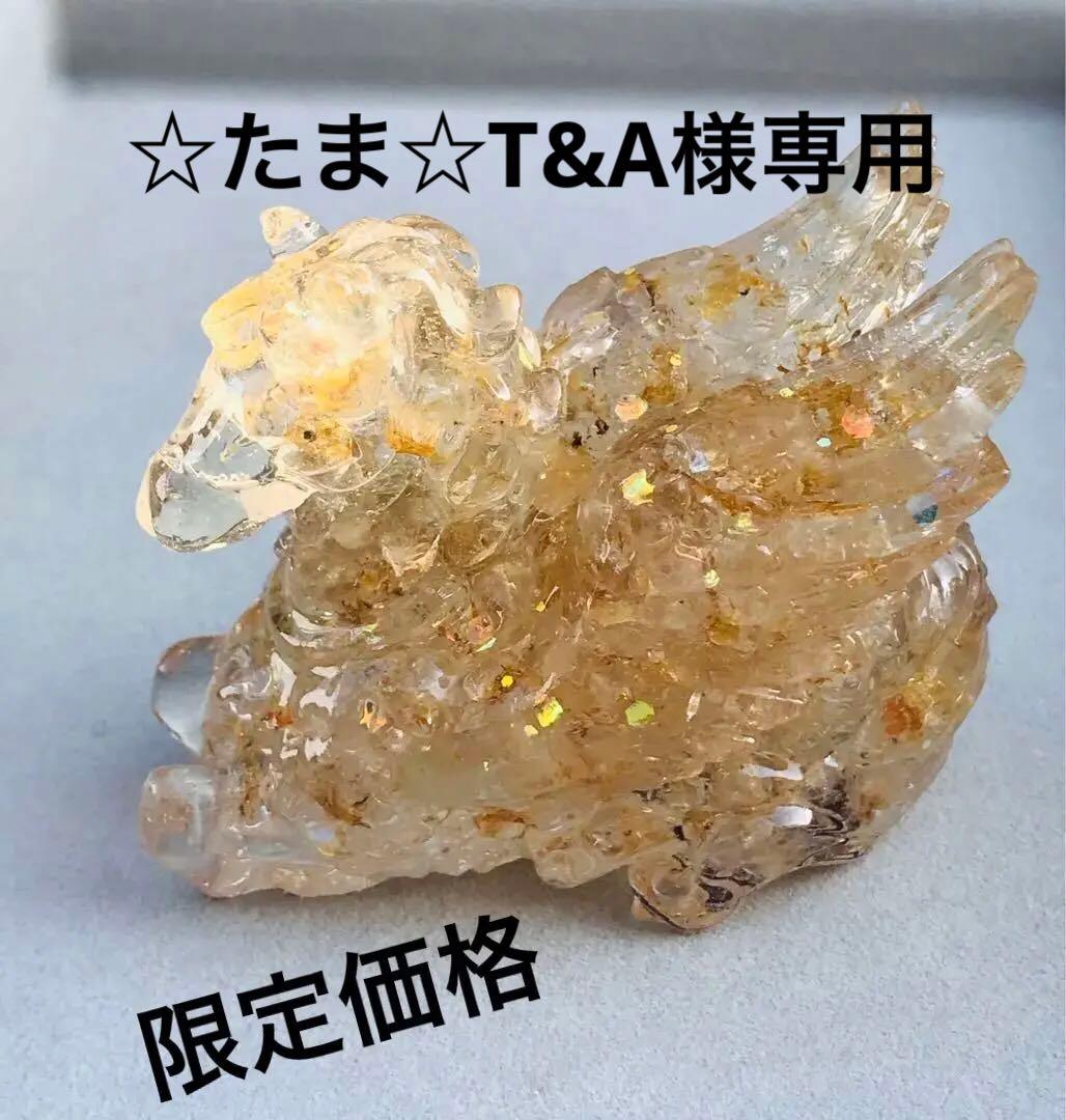 ☆たま☆T&A No.21