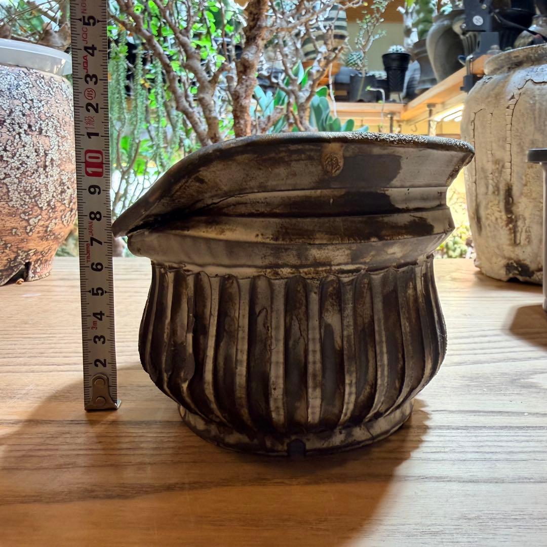 保田修作 癖鉢 【まとめ買いで5%off！】