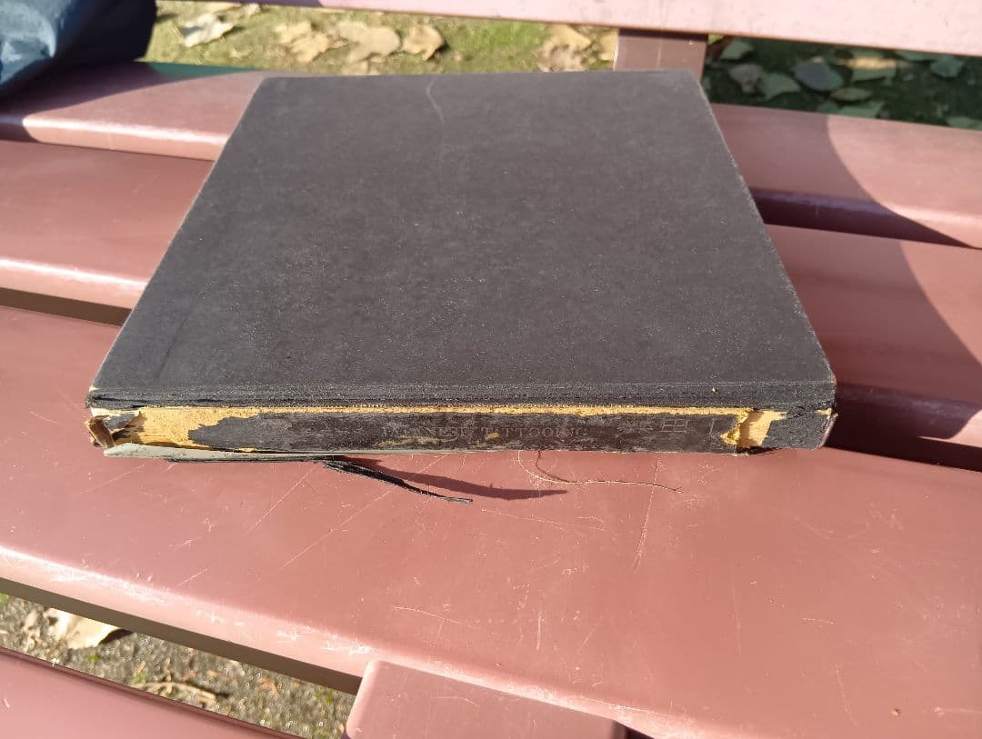 刺青 森田一朗 Irezumi Japanese Tattooing 入墨