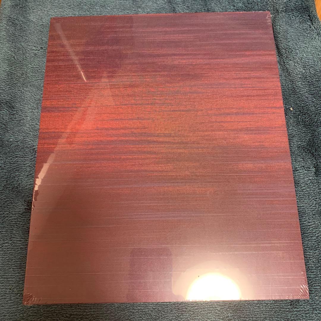 【未開封】 #FF0921 piezoglyph 菅田将暉 小松菜奈