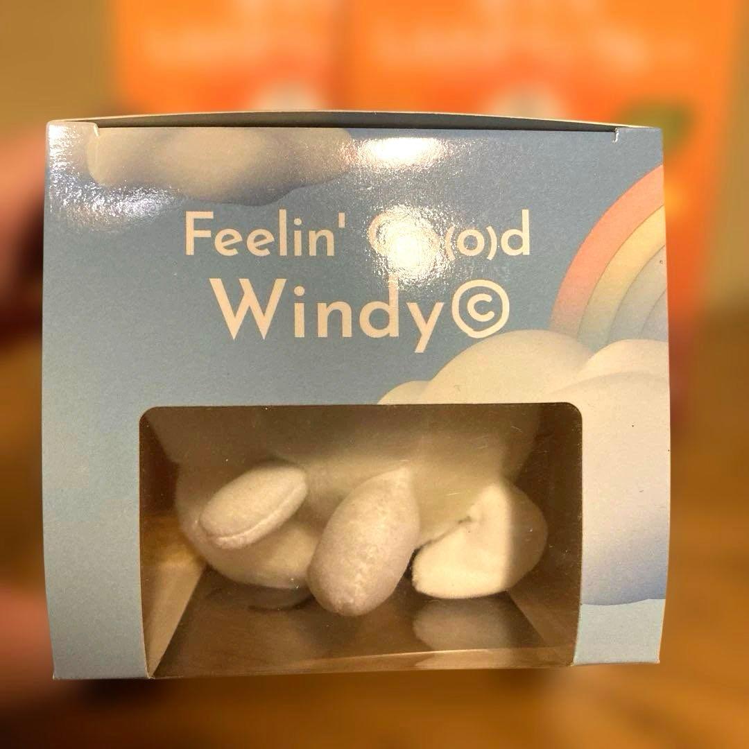 Windyちゃんと藤井風カレー2個セット