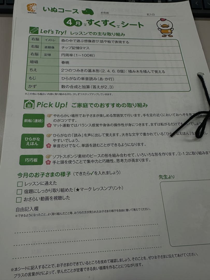 美品！七田式 いぬコース 4月〜9教材セット156枚